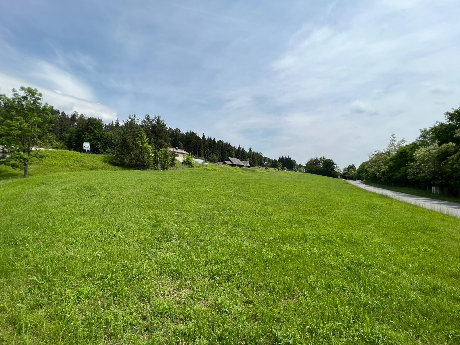Interessantes 6.000 m² großes Bauträgergrundstück in Zauchen, Wernberg bei Villach